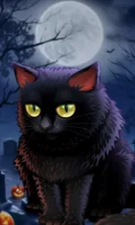 Spooky Halloween